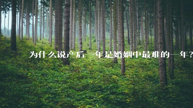 为什么说产后一年是婚姻中最难的一年？