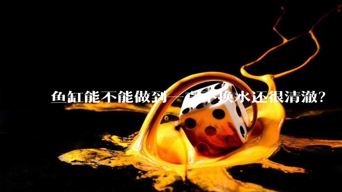 鱼缸能不能做到一直不换水还很清澈？