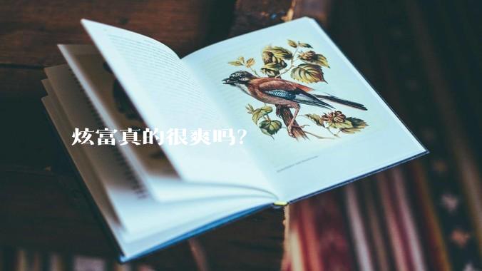 炫富真的很爽吗？