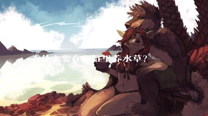 为什么要在鱼缸里养水草？