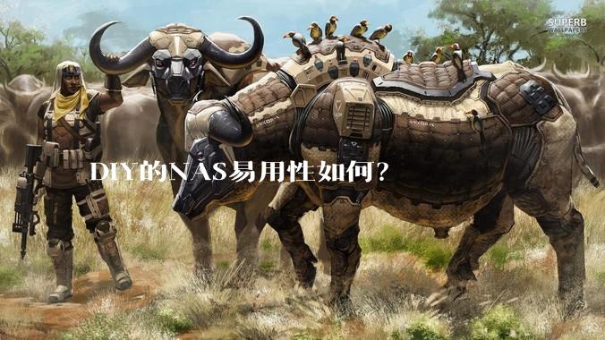 DIY的NAS易用性如何？